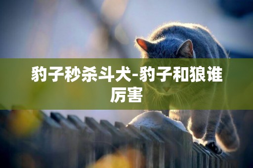 豹子秒殺斗犬-豹子和狼誰厲害
