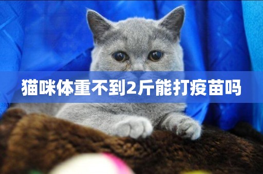 貓咪體重不到2斤能打疫苗嗎