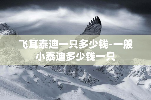 飛耳泰迪一只多少錢-一般小泰迪多少錢一只