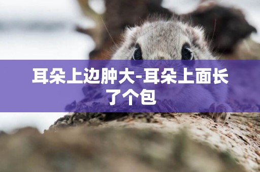 耳朵上邊腫大-耳朵上面長了個包