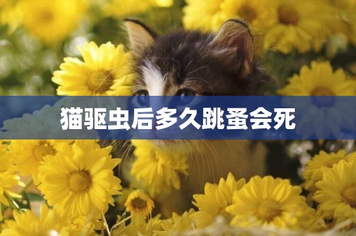 貓驅蟲后多久跳蚤會死