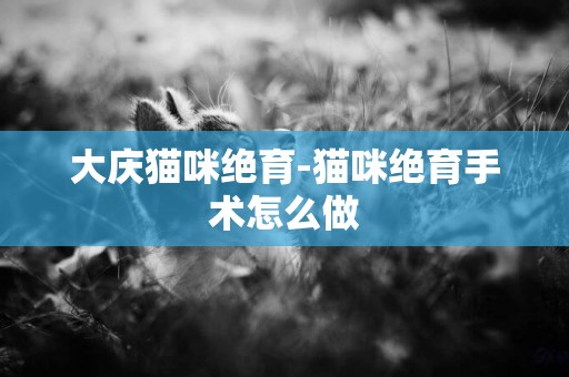 大慶貓咪絕育-貓咪絕育手術怎么做