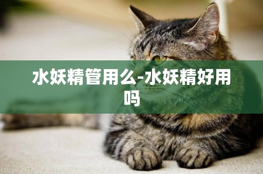 水妖精管用么-水妖精好用嗎