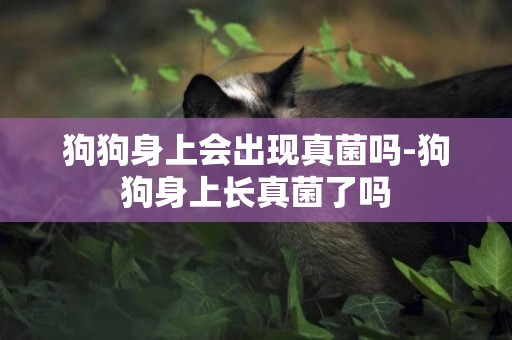 狗狗身上會出現真菌嗎-狗狗身上長真菌了嗎