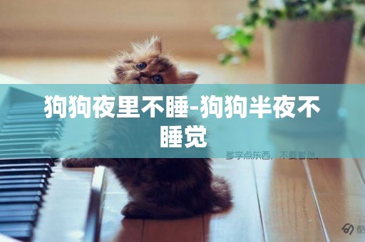 狗狗夜里不睡-狗狗半夜不睡覺