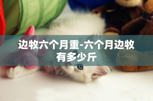 邊牧六個月重-六個月邊牧有多少斤