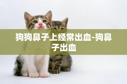 狗狗鼻子上經常出血-狗鼻子出血