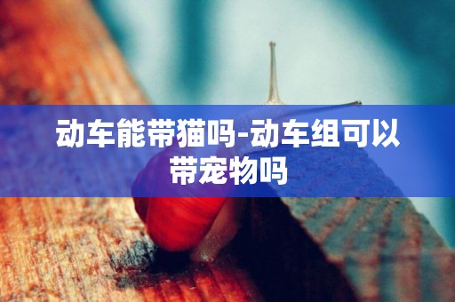 動車能帶貓嗎-動車組可以帶寵物嗎