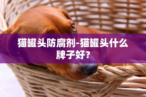 貓罐頭防腐劑-貓罐頭什么牌子好？