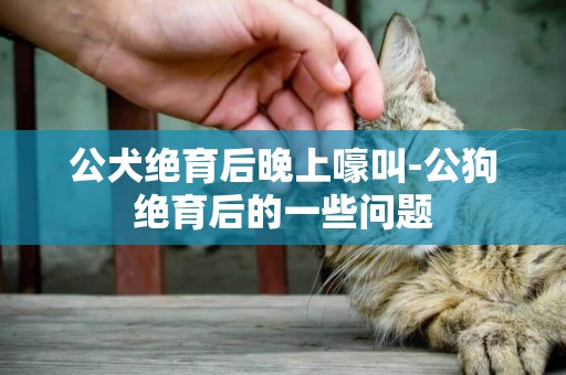 公犬絕育后晚上嚎叫-公狗絕育后的一些問題