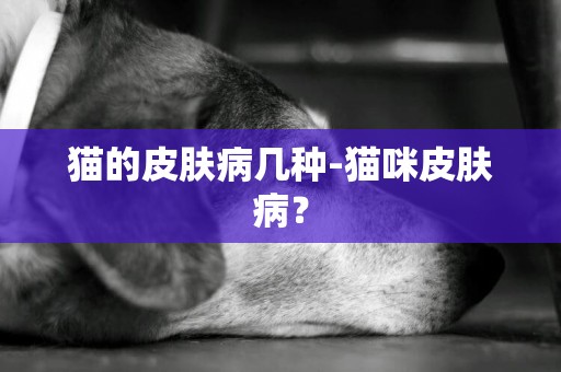 貓的皮膚病幾種-貓咪皮膚病？