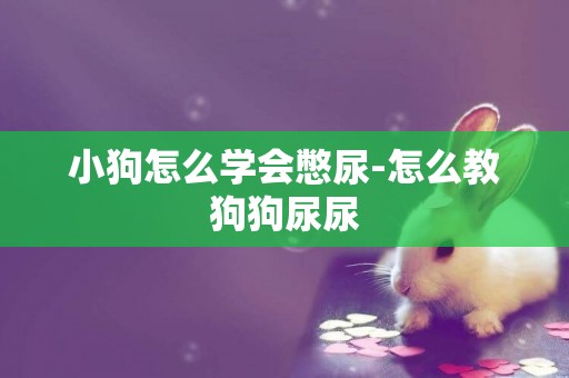 小狗怎么學會憋尿-怎么教狗狗尿尿