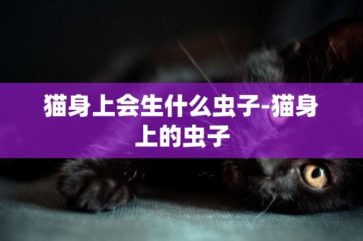 貓身上會生什么蟲子-貓身上的蟲子