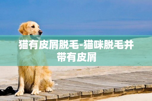 貓有皮屑脫毛-貓咪脫毛并帶有皮屑