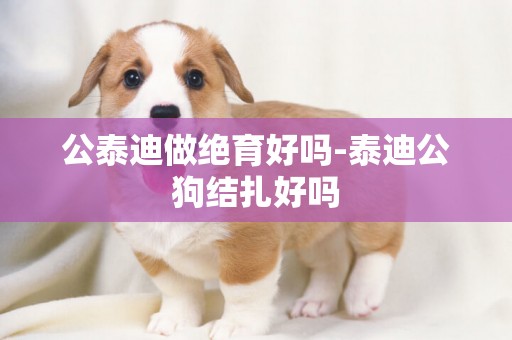 公泰迪做絕育好嗎-泰迪公狗結扎好嗎