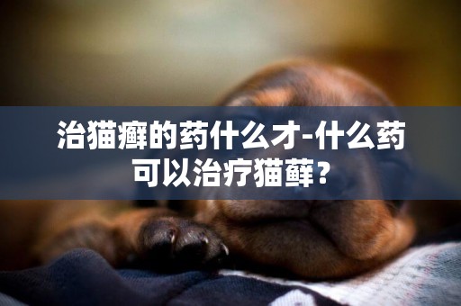 治貓癬的藥什么才-什么藥可以治療貓蘚？
