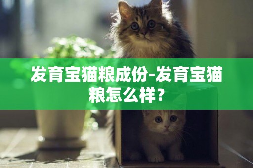 發育寶貓糧成份-發育寶貓糧怎么樣？