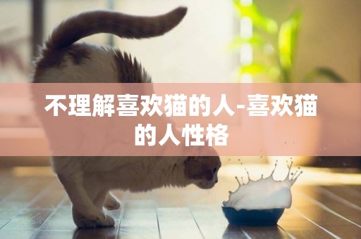 不理解喜歡貓的人-喜歡貓的人性格