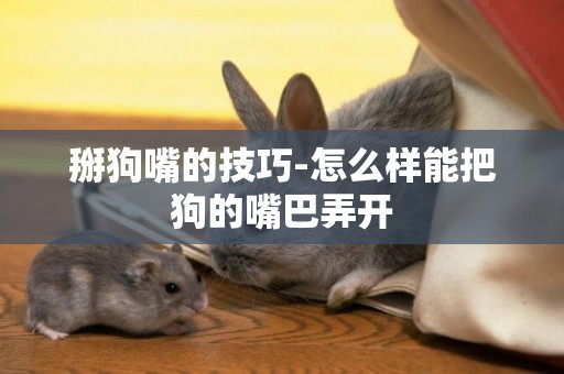 掰狗嘴的技巧-怎么樣能把狗的嘴巴弄開