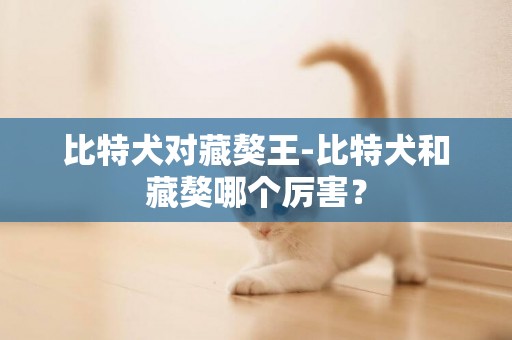 比特犬對藏獒王-比特犬和藏獒哪個厲害？