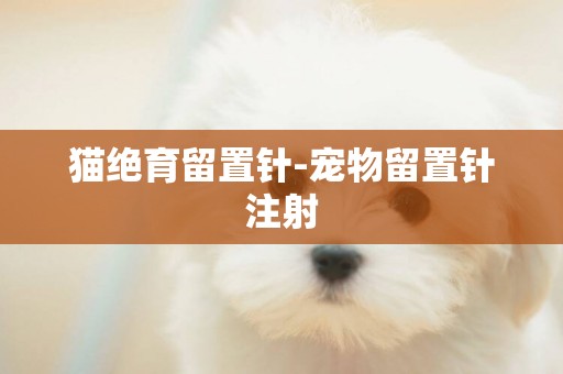 貓絕育留置針-寵物留置針注射