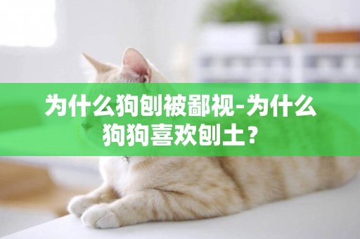 為什么狗刨被鄙視-為什么狗狗喜歡刨土？
