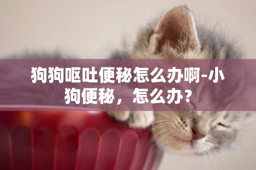 狗狗嘔吐便秘怎么辦啊-小狗便秘，怎么辦？