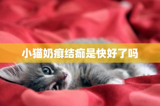 小貓奶癬結痂是快好了嗎