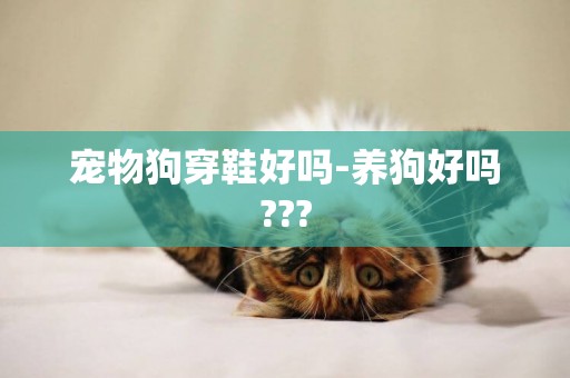 寵物狗穿鞋好嗎-養狗好嗎???