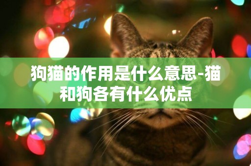 狗貓的作用是什么意思-貓和狗各有什么優點
