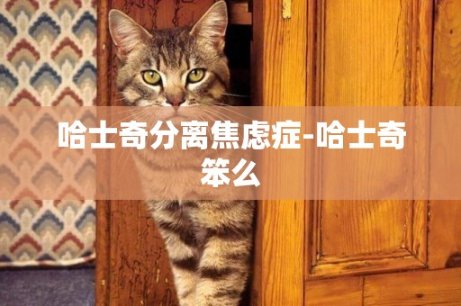 哈士奇分離焦慮癥-哈士奇笨么