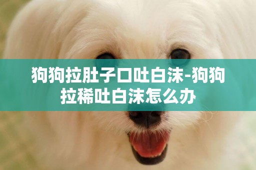 狗狗拉肚子口吐白沫-狗狗拉稀吐白沫怎么辦