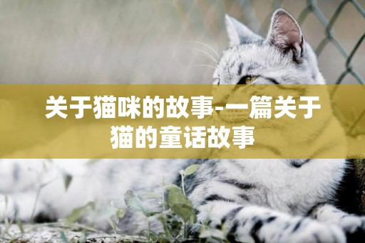關于貓咪的故事-一篇關于貓的童話故事