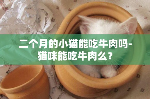 二個月的小貓能吃牛肉嗎-貓咪能吃牛肉么？
