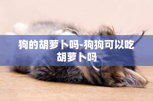 狗的胡蘿卜嗎-狗狗可以吃胡蘿卜嗎