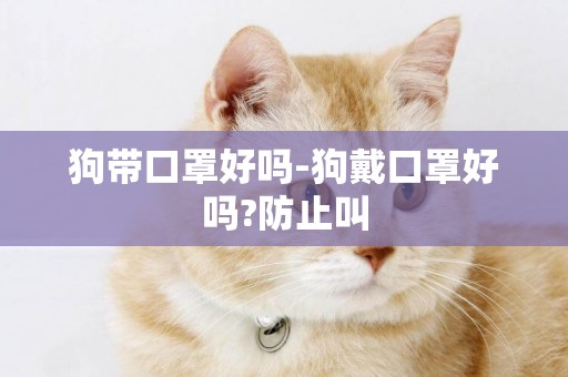 狗帶口罩好嗎-狗戴口罩好嗎?防止叫