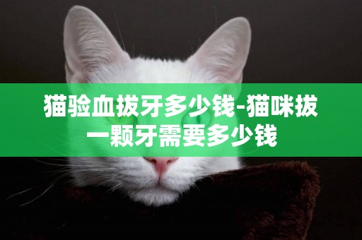 貓驗血拔牙多少錢-貓咪拔一顆牙需要多少錢