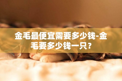 金毛最便宜需要多少錢-金毛要多少錢一只？
