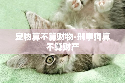 寵物算不算財物-刑事狗算不算財產