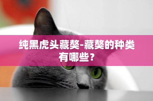 純黑虎頭藏獒-藏獒的種類有哪些？