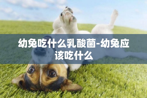 幼兔吃什么乳酸菌-幼兔應該吃什么
