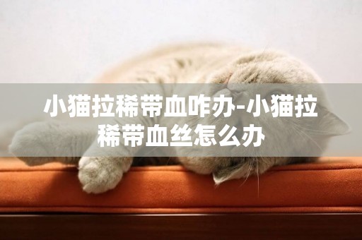 小貓拉稀帶血咋辦-小貓拉稀帶血絲怎么辦