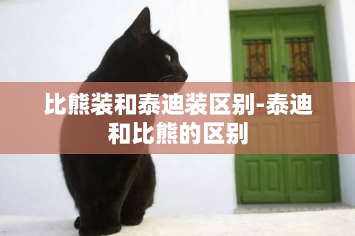 比熊裝和泰迪裝區別-泰迪和比熊的區別