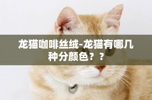 龍貓咖啡絲絨-龍貓有哪幾種分顏色？？
