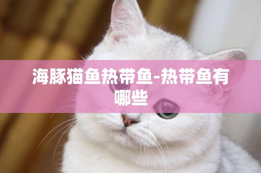 海豚貓魚熱帶魚-熱帶魚有哪些