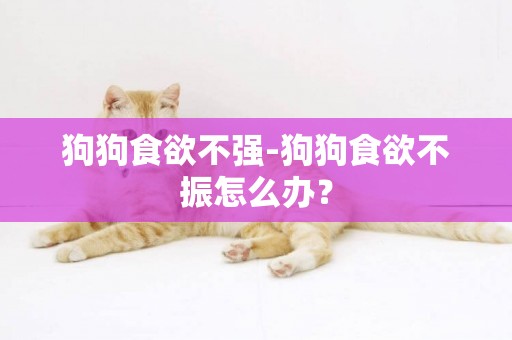 狗狗食欲不強-狗狗食欲不振怎么辦？