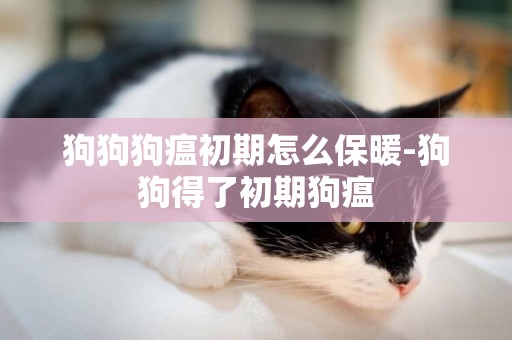 狗狗狗瘟初期怎么保暖-狗狗得了初期狗瘟