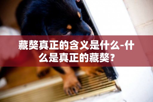 藏獒真正的含義是什么-什么是真正的藏獒？