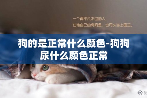 狗的是正常什么顏色-狗狗尿什么顏色正常