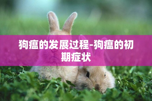 狗瘟的發展過程-狗瘟的初期癥狀